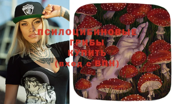 индика Абинск