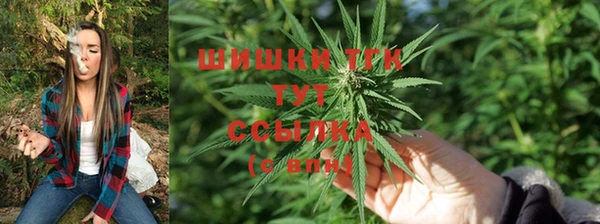 МДПВ Аша