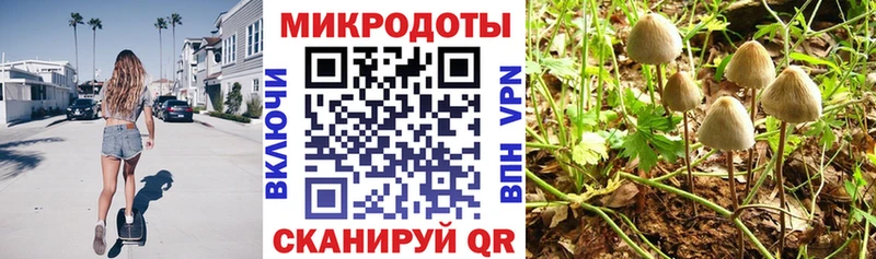купить наркоту  Белоусово  ссылка на мегу ONION  Галлюциногенные грибы мицелий 